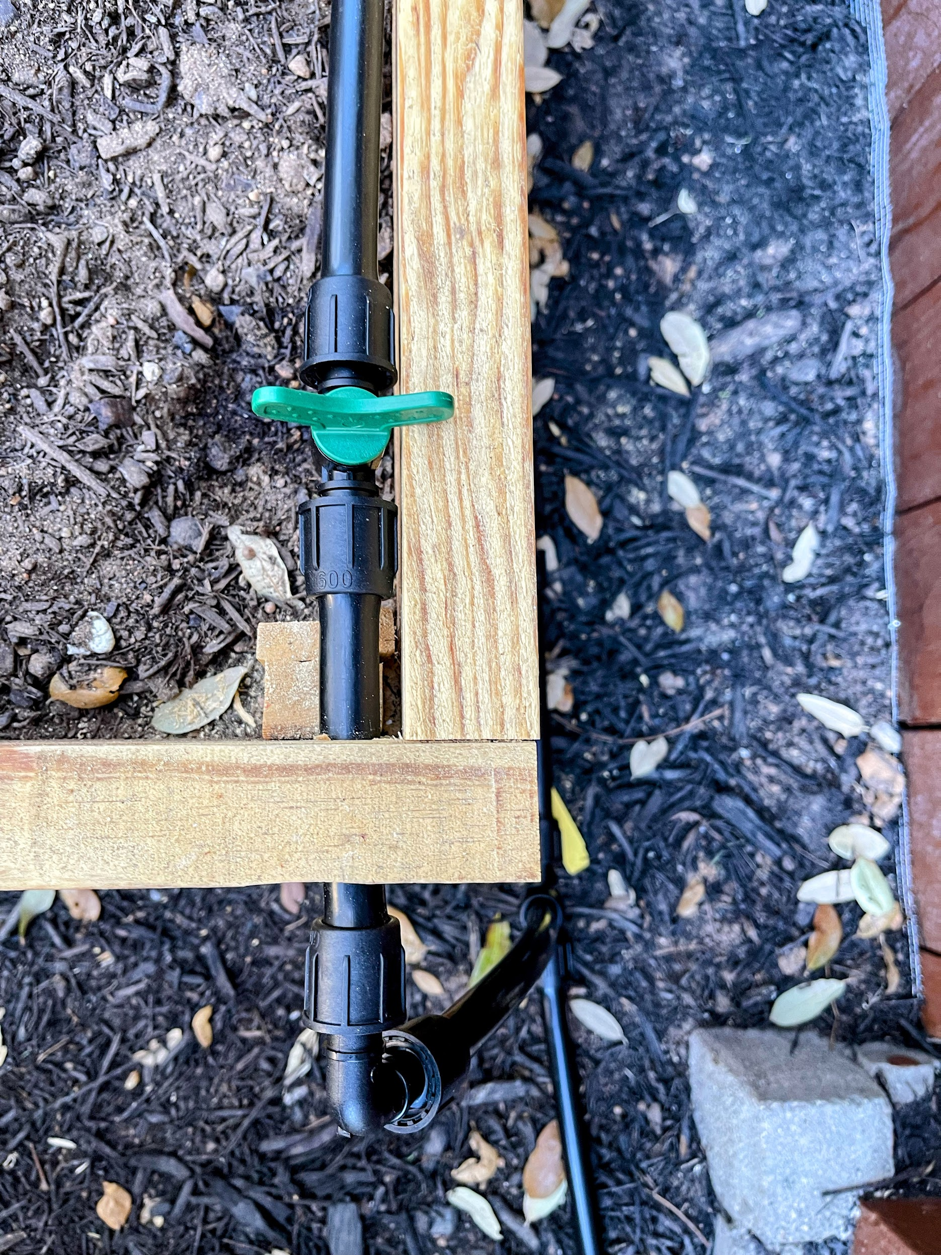 A closeup view of drip irrigation integrated into a raised bed.